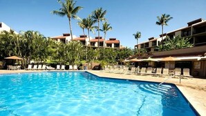 Une piscine avec des chaises longues et des palmiers.