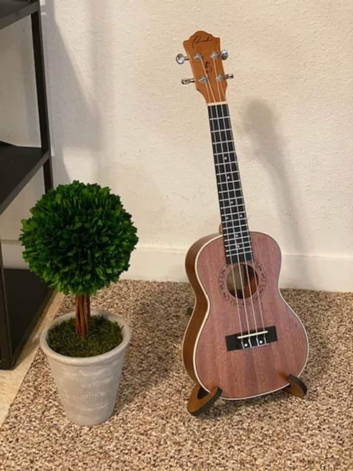 Eine Ukulele in einem weißen Topf neben einem kleinen Topf mit Pflanze auf einem Teppichboden.