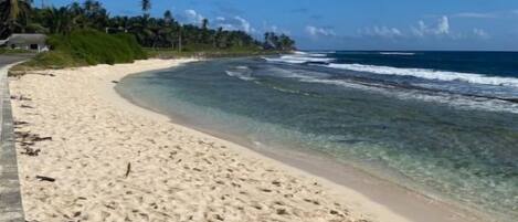 A beach with clear water, a sandy shore, and a line of palm trees in the background.