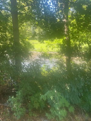 Terrain de l’hébergement