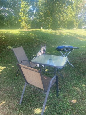 Outdoor dining - Cozy 2 bedroom Camper in Mill Hall near Fishing Creek, class A wild trout waters (Mill Hall)