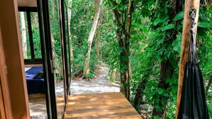 Un sentier en bois qui mène à un espace aménagé au milieu d’une zone boisée.