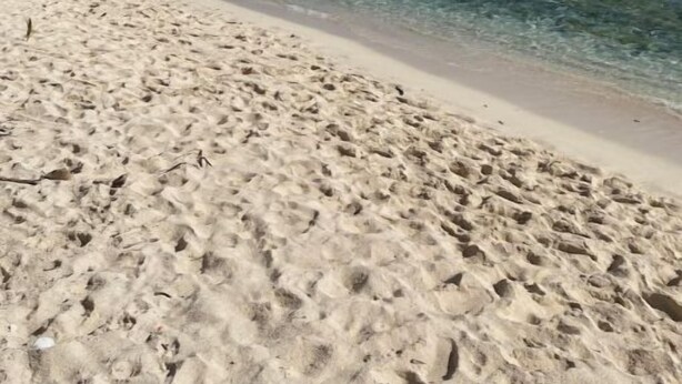 A sandy beach with clear water and a clear sky.