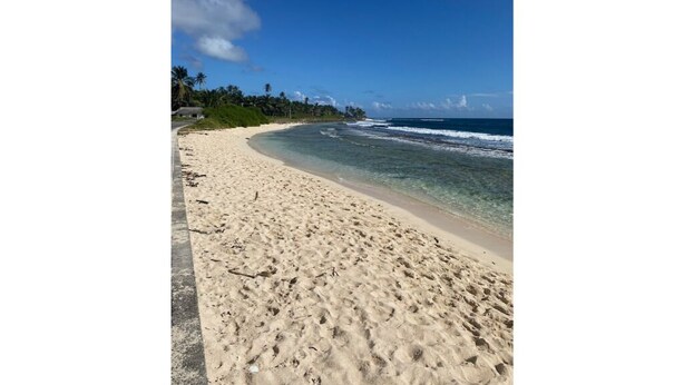 A beach with clear water, a sandy shore, and a line of palm trees in the background. - Savannah Inn 204 Studio AC,Wifi,TV, (San Andrés y Providencia)