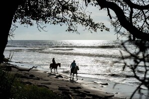 Ubicación a pie de playa
