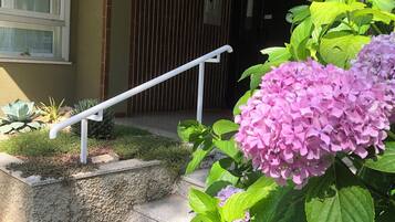 DĂ©tail de lâextĂ©rieur