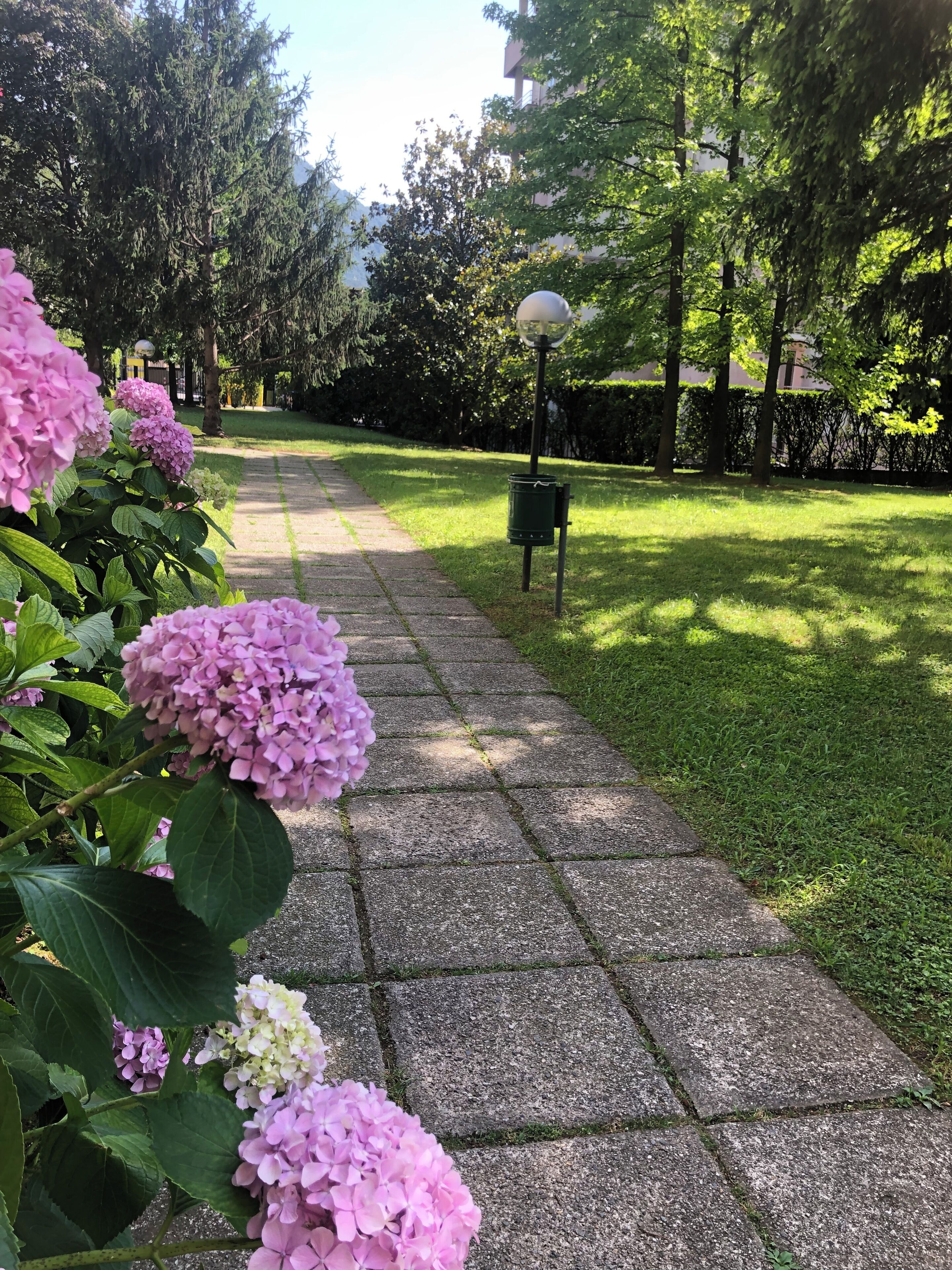 Parco della struttura