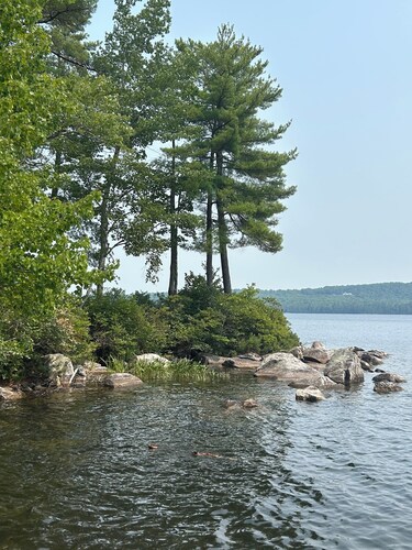 Welcoming 4-bedroom cabin in Chesterville