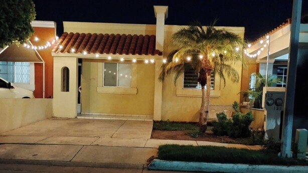 Una casa con techo de tejas, una palmera y luces colgantes.