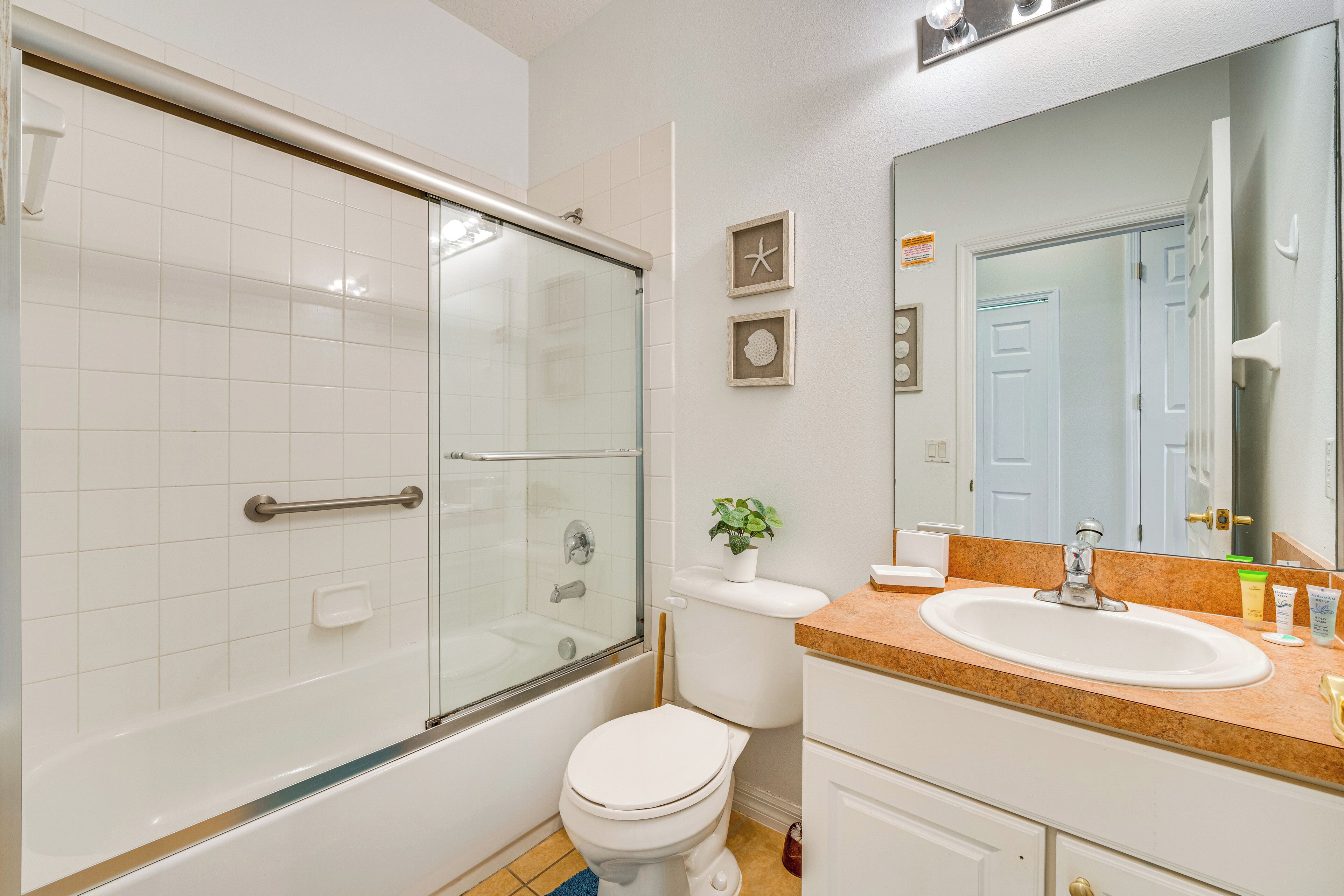Un baño con ducha de vidrio, inodoro blanco, lavabo con espejo y una planta en maceta sobre el mostrador.