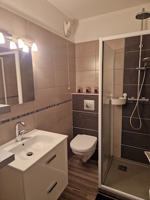 Shower, hair dryer, toilet paper