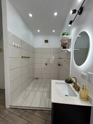 Shower, towels, soap, toilet paper