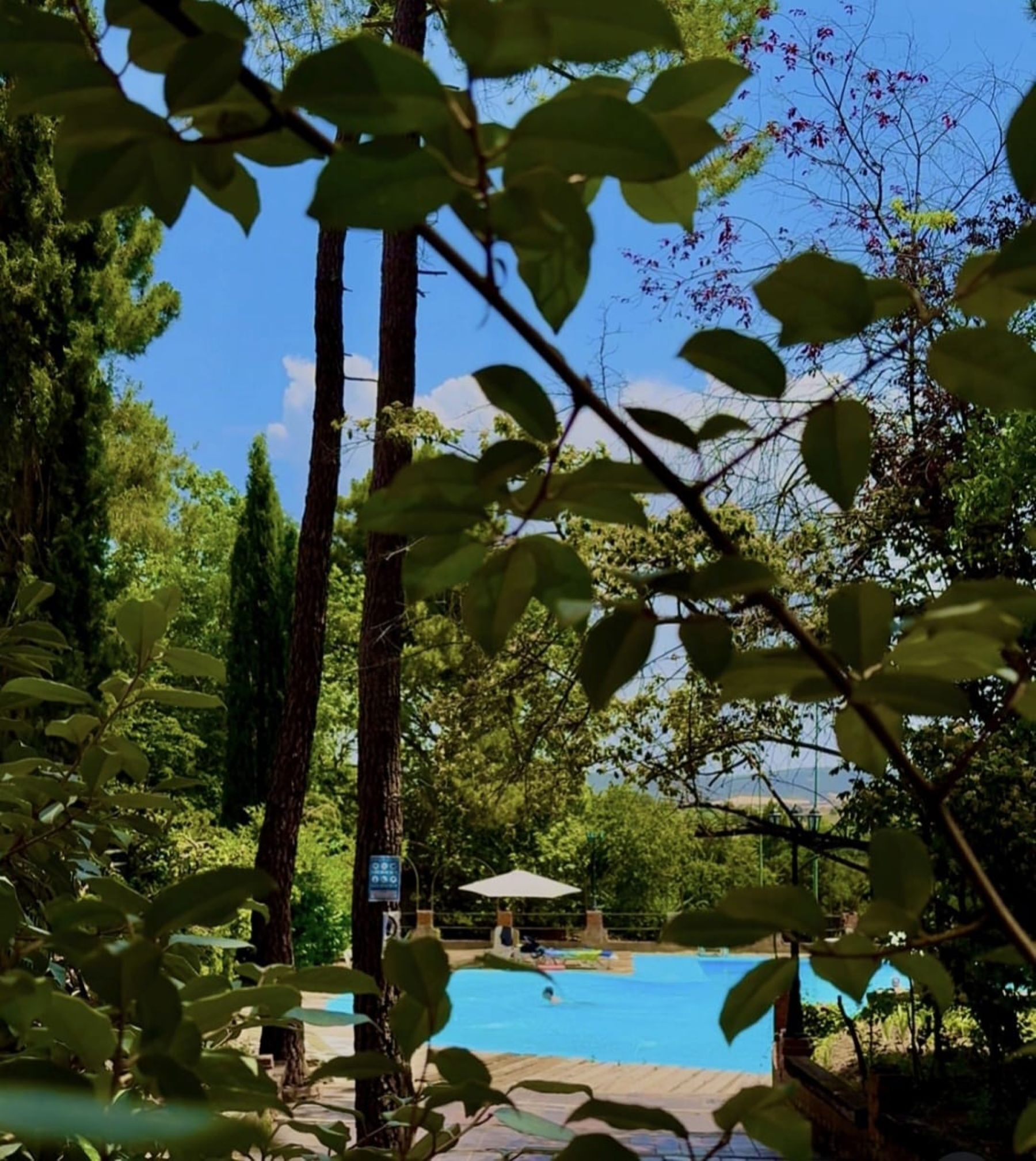 Una piscina rodeada de árboles y un cielo despejado.