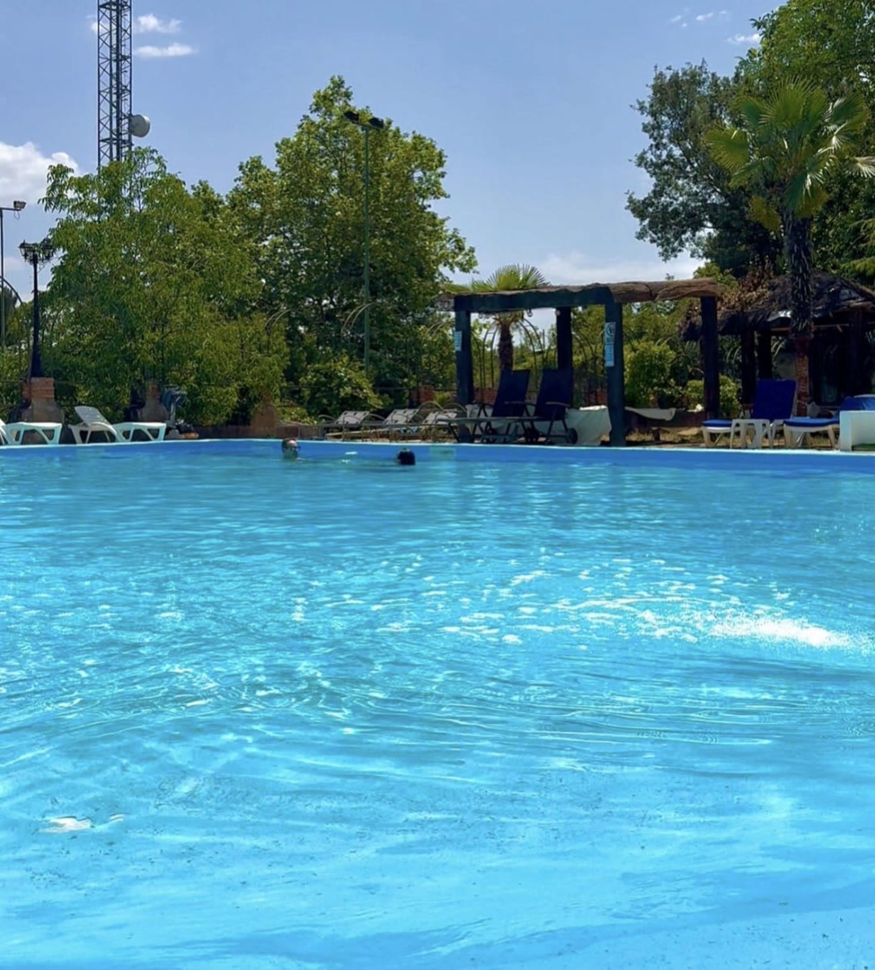 A swimming pool with lounge chairs and a covered area, surrounded by trees.