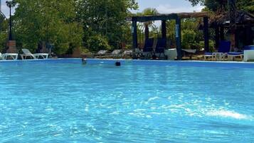 A swimming pool with lounge chairs and a covered area, surrounded by trees.