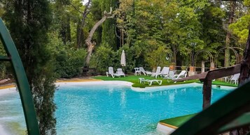 A swimming pool with lounge chairs and greenery.