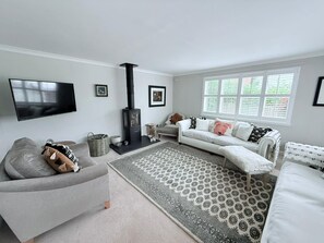 Smart TV, fireplace, books