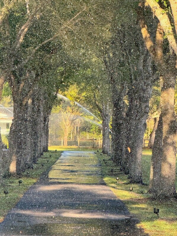 Jardines del alojamiento