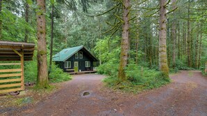 A cabin with a green roof, surrounded by tall trees and a gravel path leading to it. - Tiny: An A-Frame Cabin in the Woods (Rhododendron)