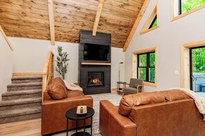 TV connectée, cheminée, jeux vidéo, médiathèque