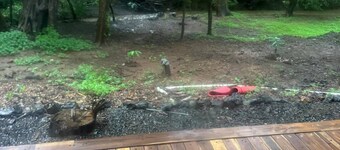 Playa Avellanas twin house!