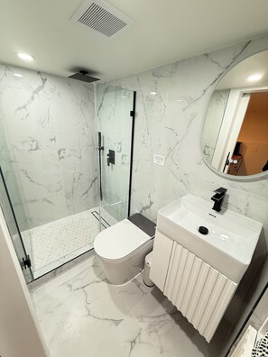 Shower, hair dryer, bidet, towels