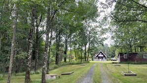 A rural setting with a gravel path leading to a wooden cabin surrounded by trees.