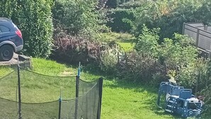 A trampoline, a swing set, and a slide in a grassy backyard.