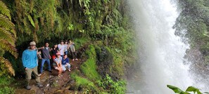 Miscellaneous - Spacious 5-bedroom farmhouse Panoramic Views Poas Volcano and Cloud Rainforest (Heredia Province)