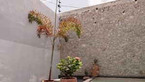 A small outdoor area with a stone wall, a potted plant, a small pool, and tiled flooring. - Casa Perro Verde very close to Paseo de Montejo (Mérida)