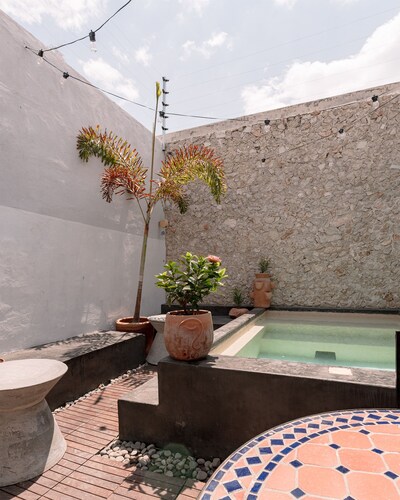 Casa Perro Verde muy cerca de Paseo de Montejo