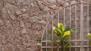 A stone wall with a metal birdcage. - Casa Perro Verde very close to Paseo de Montejo (Mérida)