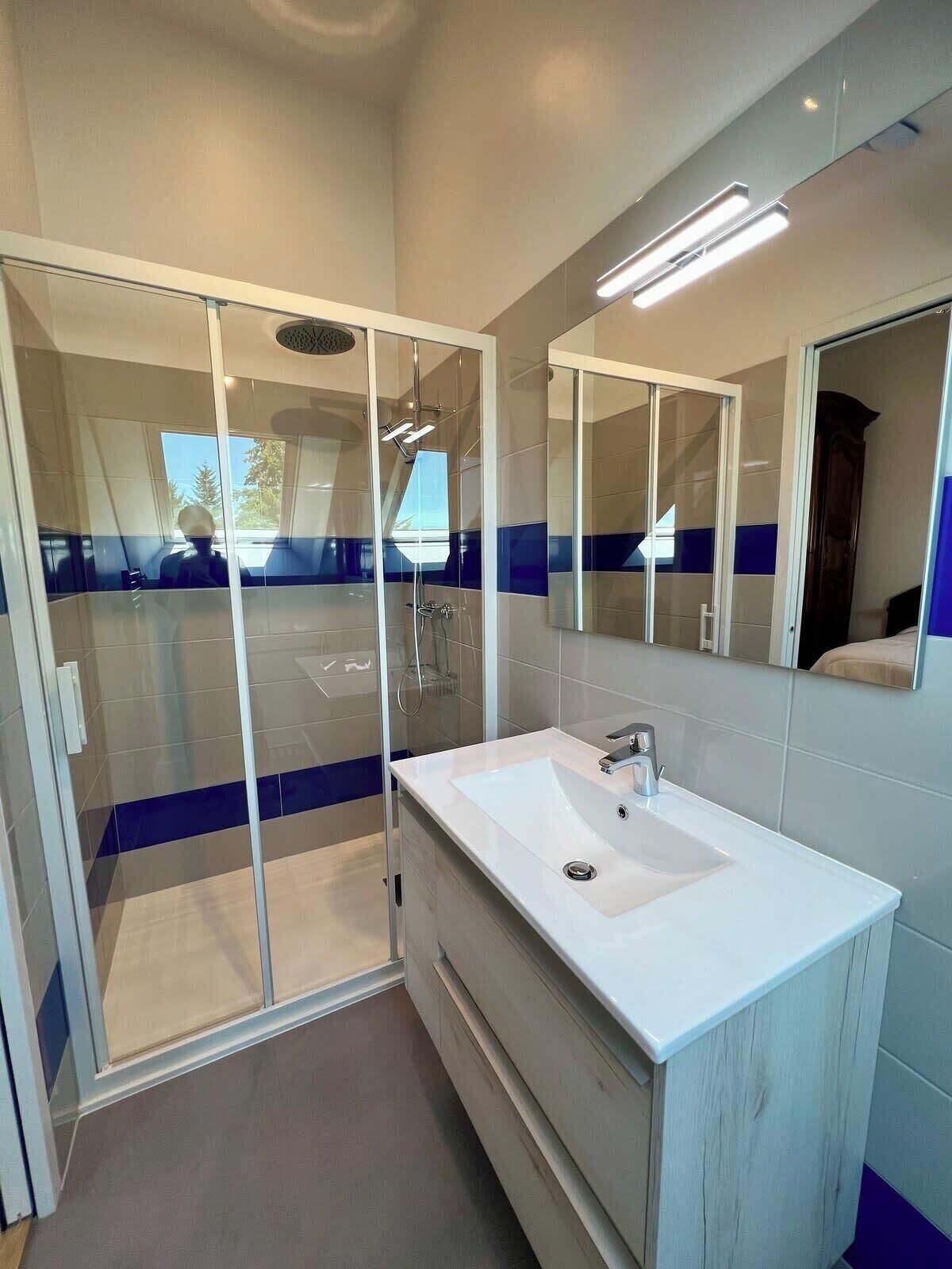 A modern bathroom with a glass shower enclosure, a white sink, and a large mirror.
