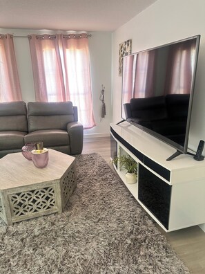 Smart TV, fireplace, stereo, computer monitors