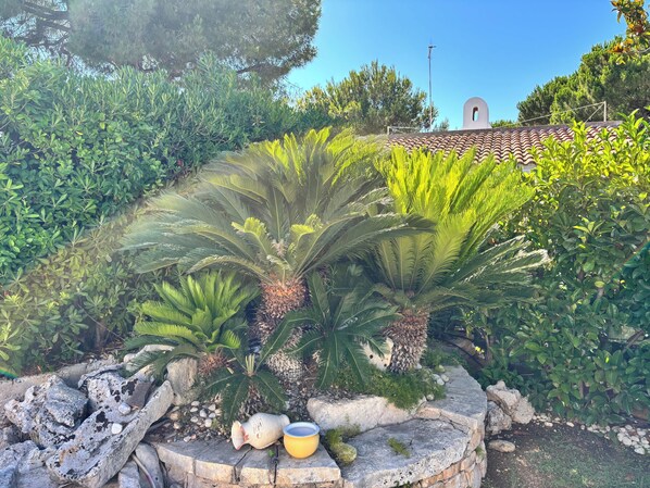 Overnattingsstedets uteområder