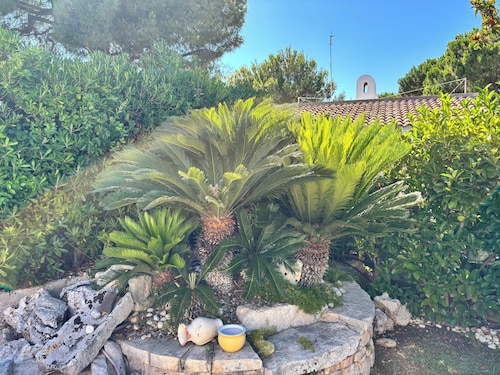 Villa Aron