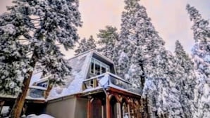 A snow-covered house with a balcony, surrounded by tall, snow-laden trees.