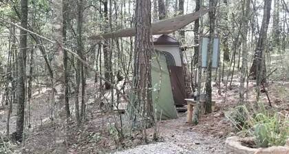 Glamping La Calma: Enjoy and Relax in Omitlán
