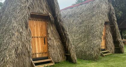 Cabañas Green Life