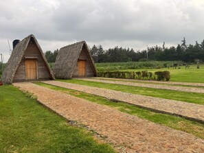 Exterior - Cabañas Green Life (San Miguel Regla)
