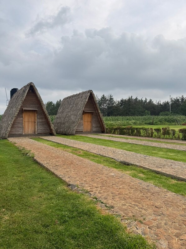 Exterior - Cabañas Green Life (San Miguel Regla)
