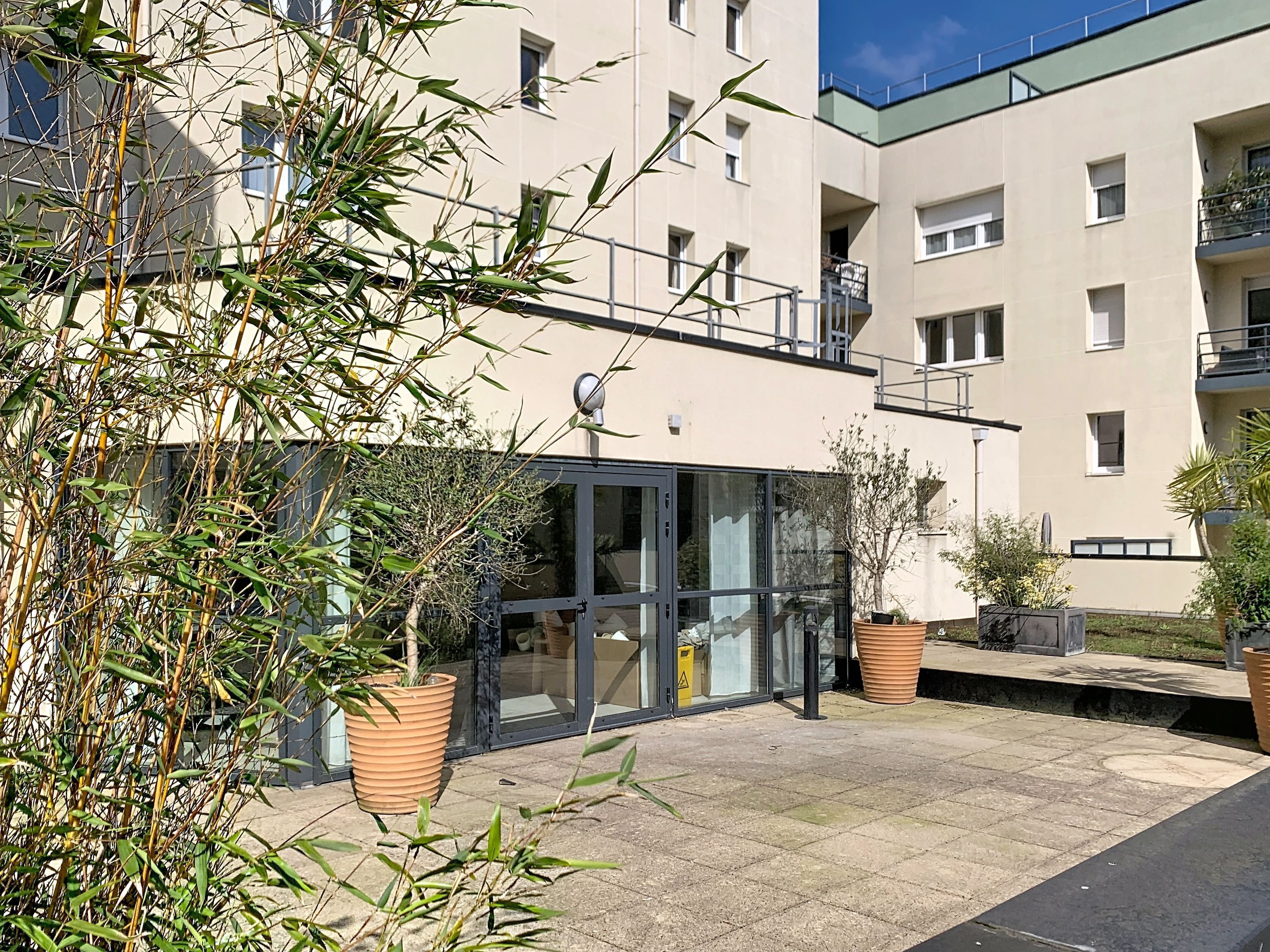 Un bâtiment moderne avec une entrée en verre, des plantes en pot et un patio dallé.