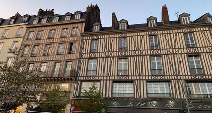 T3 supérieur + double terrasse, quartier Flaubert
