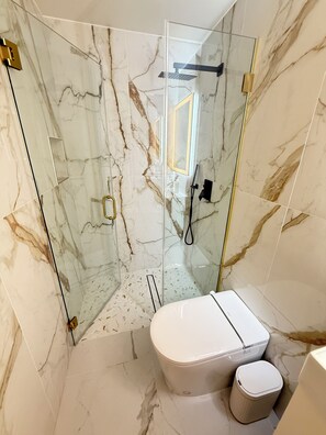 Regadera, secadora de cabello, bidet, toallas 