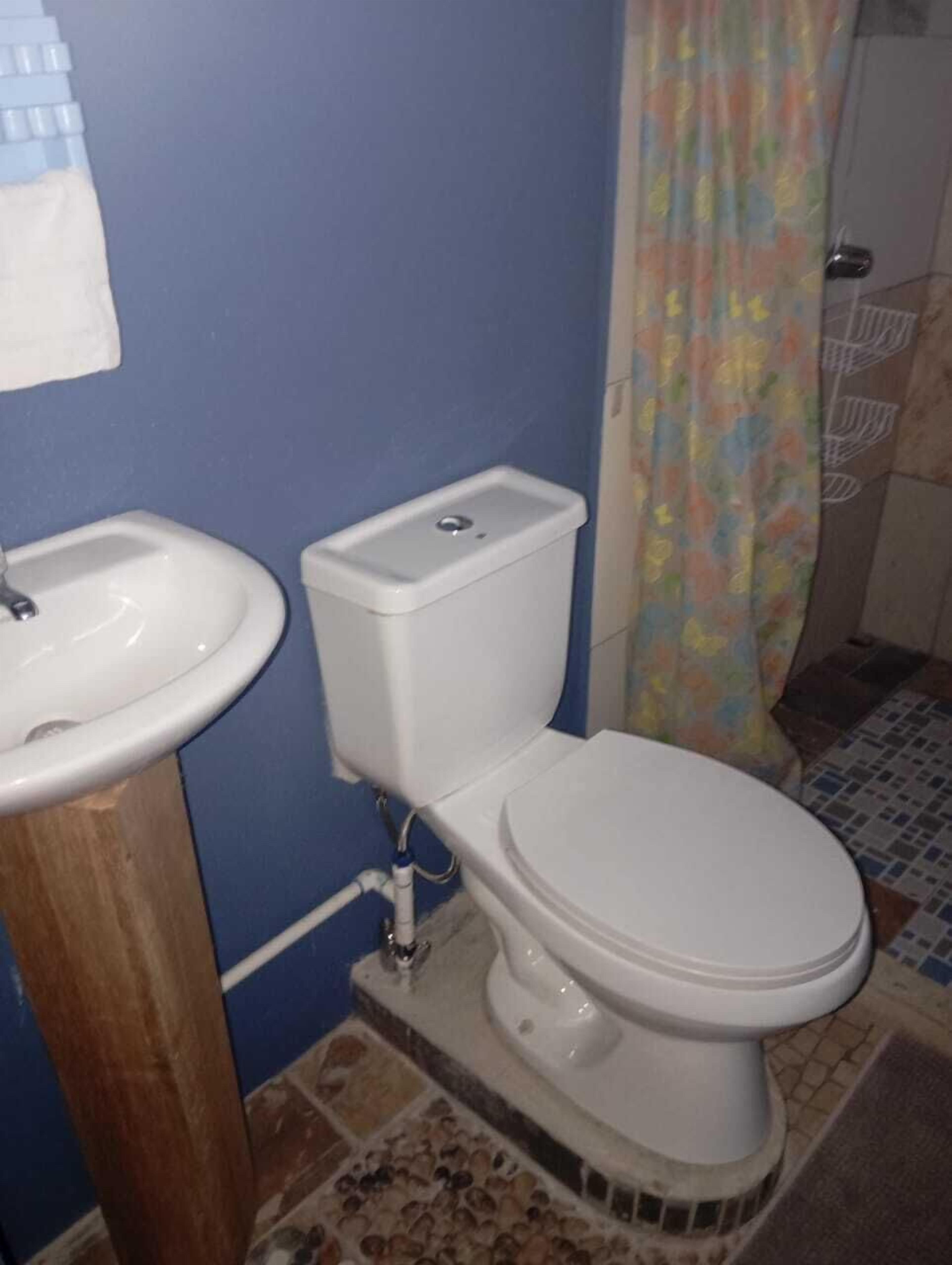 Une salle de bain équipée de toilettes, d’un lavabo et d’un rideau de douche.