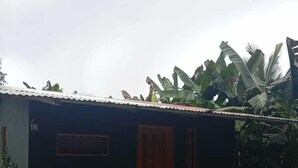 Un pequeño edificio de una sola planta, con fachada verde y puerta marrón.