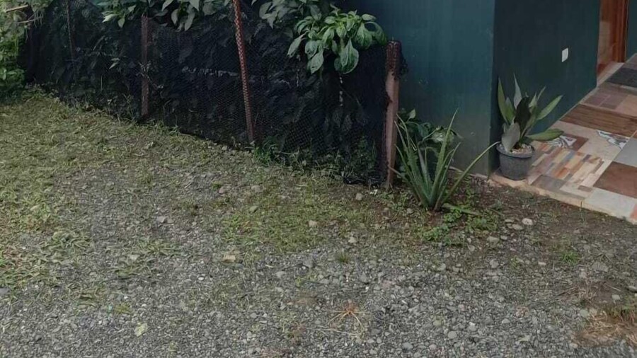 Cabinas Golfo Aventuras