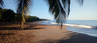 Gîte 2 steps from the sparkling La Perle beach