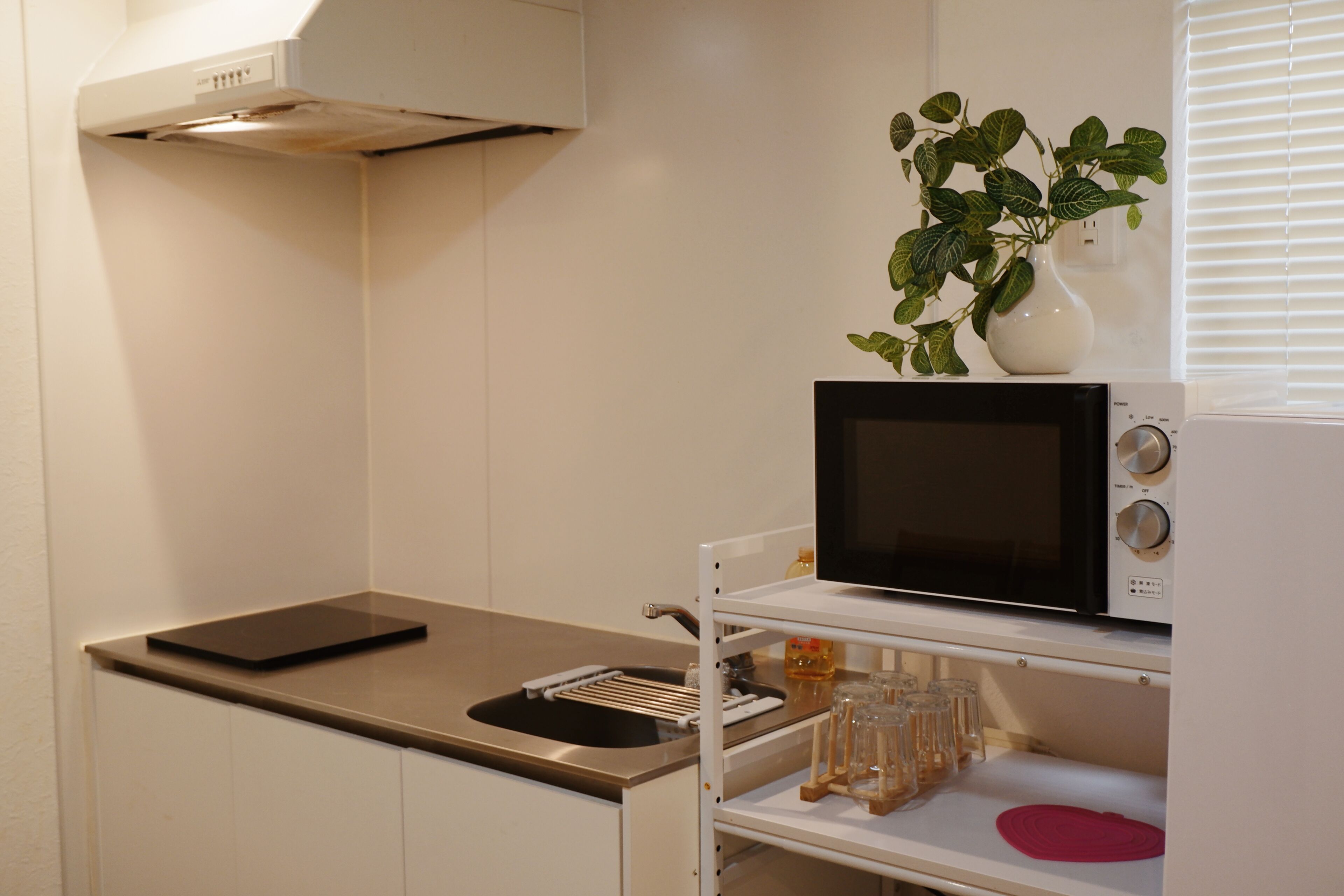 Fridge, microwave, stovetop, electric kettle