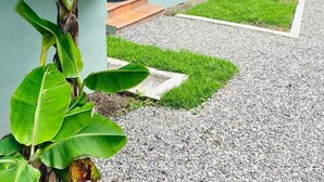 A modern building with triangular roof structures and a central garden area with a banana plant. - Las Casitas italiana (Sabalito)